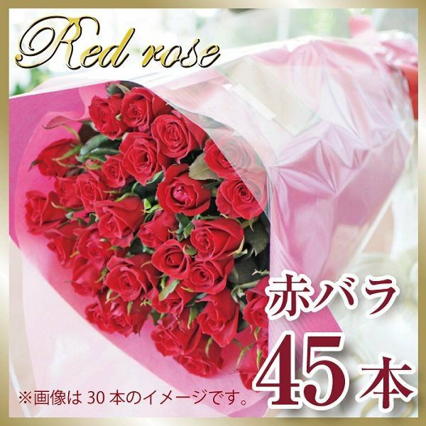うっとりする赤いバラの花束
  
  赤いバラ45本の花束