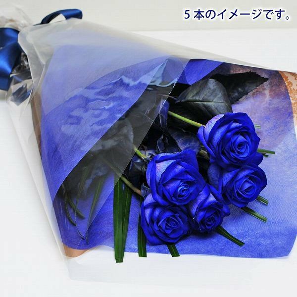 神秘的なブルーの薔薇
  
  青いバラ5本の花束