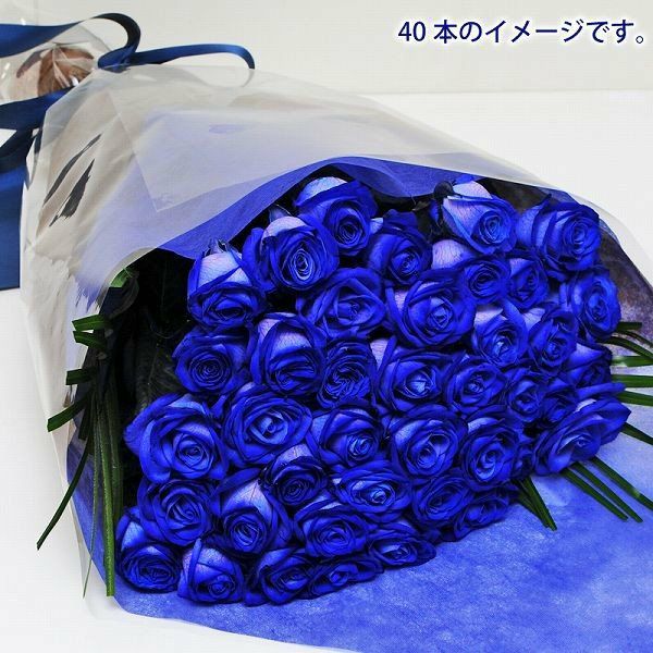 神秘的なブルーの薔薇
  
  青いバラ40本の花束