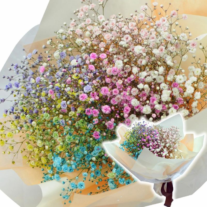 レインボーかすみそう カラーカスミ草(かすみ草 霞草)の花束 カラフルカスミ草(かすみ草)の花束
  
  カラフルなカスミ草の花束