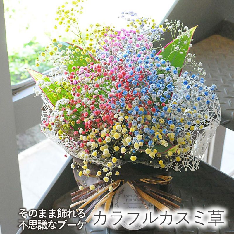 かすみそう カラーカスミ草(かすみ草 霞草)の花束 カラフルカスミ草(かすみ草)の花束　レインボーカスミ
  
  誕生日 お祝い プレゼント そのまま飾れる不思議なブーケ カラフルなカスミ草のブーケ